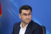 اقدامات دولتی در حوزه سلامت برای ارتقا شاخص های درمانی کارساز نیست