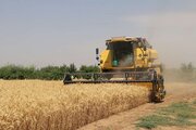 توزیع بیش از۲۲میلیون لیتر گازوئیل در بخش کشاورزی قزوین