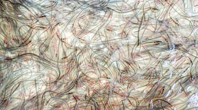 ۹ راز طبیعی که دانشمندان هنوز نتوانستهاند حل کنند!