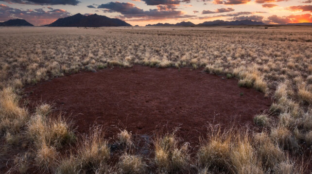 ۹ راز طبیعی که دانشمندان هنوز نتوانستهاند حل کنند!