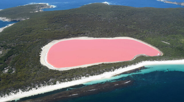 ۹ راز طبیعی که دانشمندان هنوز نتوانستهاند حل کنند!