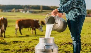 لبنیات سنتی بخوریم یا پاستوریزه؟ لبنیات سنتی بخوریم یا پاستوریزه؟