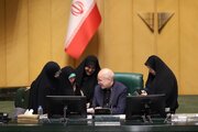 پشت پرده عدم حضور فعال نمایندگان زن مجلس در انتخابات هیات رئیسه مجلس به روایت جلودارزاده/ تن به رقابت نمی دهند زیرا....