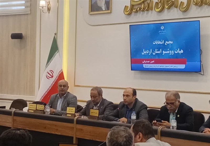 ووشوی اردبیل، به جای پیشرفت، عقب گشت داشته است