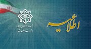 جزئیات بیانیه وزارت اطلاعات درباره ضربه به یکی از بزرگترین باندهای قاچاق سوخت کشور/ ارزش این باند چقدر بوده است؟/ حساب‌های بانکی چند نفر مسدود شد؟