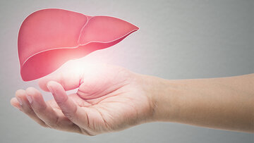 ۲ مقصر اصلی کبد چرب را بشناسید ۲ مقصر اصلی کبد چرب را بشناسید