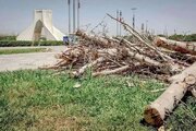 قطع درخت در تهران، ممنوع!/ ماجرای قطع درختان میدان آزادی چه بود؟