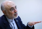 ببینید | صالحی: روسیه اجازه نداد از سوخت ساخت ایران در راکتور بوشهر استفاده کنیم