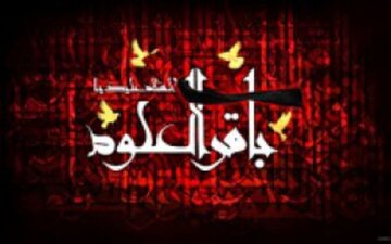 عوامل شهادت امام باقر علیهالسلام چه کسانی بودند؟ عوامل شهادت امام باقر علیهالسلام چه کسانی بودند؟