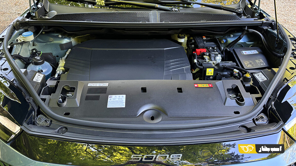 بزرگترین شاسیبلند پژو را بشناسید /عکس