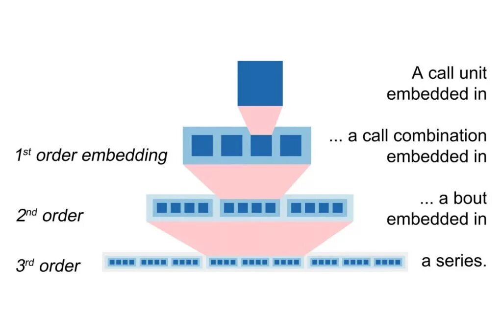 رمزگشایی از زبان پیچیده اورانگوتان / پیش از این فقط در انسانها دیده شده بود