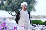 خاطرات هاشمی: خواب دیدم هواپیمای مسافربری آمریکا در دریا سقوط کرد