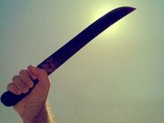 ببینید | قمه‌کشی اراذل و اوباش در باغ‌آذری