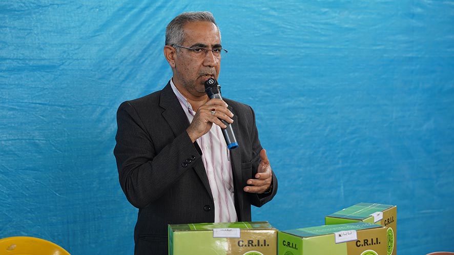 تحقیقات کشاورزی در مسیر نوآوری؛ مرور ۵۰ سال تلاش تات