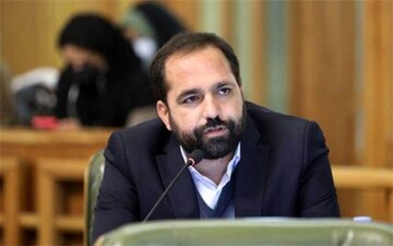 واکنش عضو شورای شهر تهران به قتل الهه حسیننژاد؛ یک بند قانونی میتواند جان هزاران نفر را نجات دهد