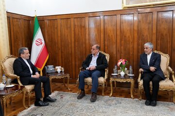 دیدار رئیس کمیته ملی المیپک با عراقچی / راه اندازی میز دیپلماسی ورزش در وزارت امور خارجه