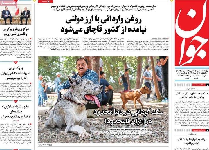 روزنامه