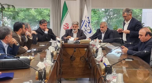 عزم نمایندگان استان برای استقلال برق و پتروشیمی اردبیل