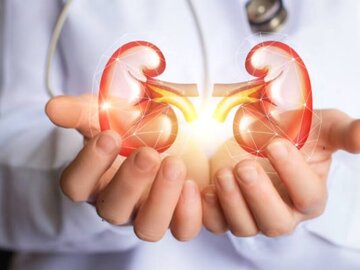 علائم سنگ کلیه چیست و چه افرادی بیشتر در معرض ابتلا هستند؟ علائم سنگ کلیه چیست و چه افرادی بیشتر در معرض ابتلا هستند؟