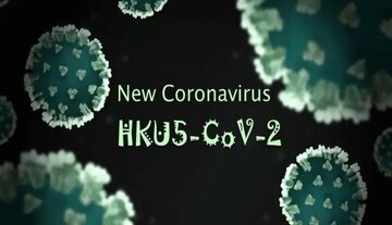 فقط یک جهش کوچک تا «اپیدمی»؛ کروناویروسِ  HKU۵-CoV۲ در کمین/ باز هم پای خفاش‌ها در میان است؟