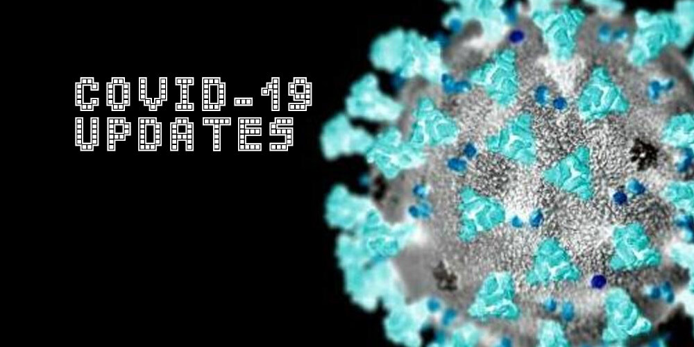 فقط یک جهش کوچک تا «اپیدمی»؛ کروناویروسِ  HKU۵-CoV۲ در کمین/ باز هم پای خفاشها در میان است؟