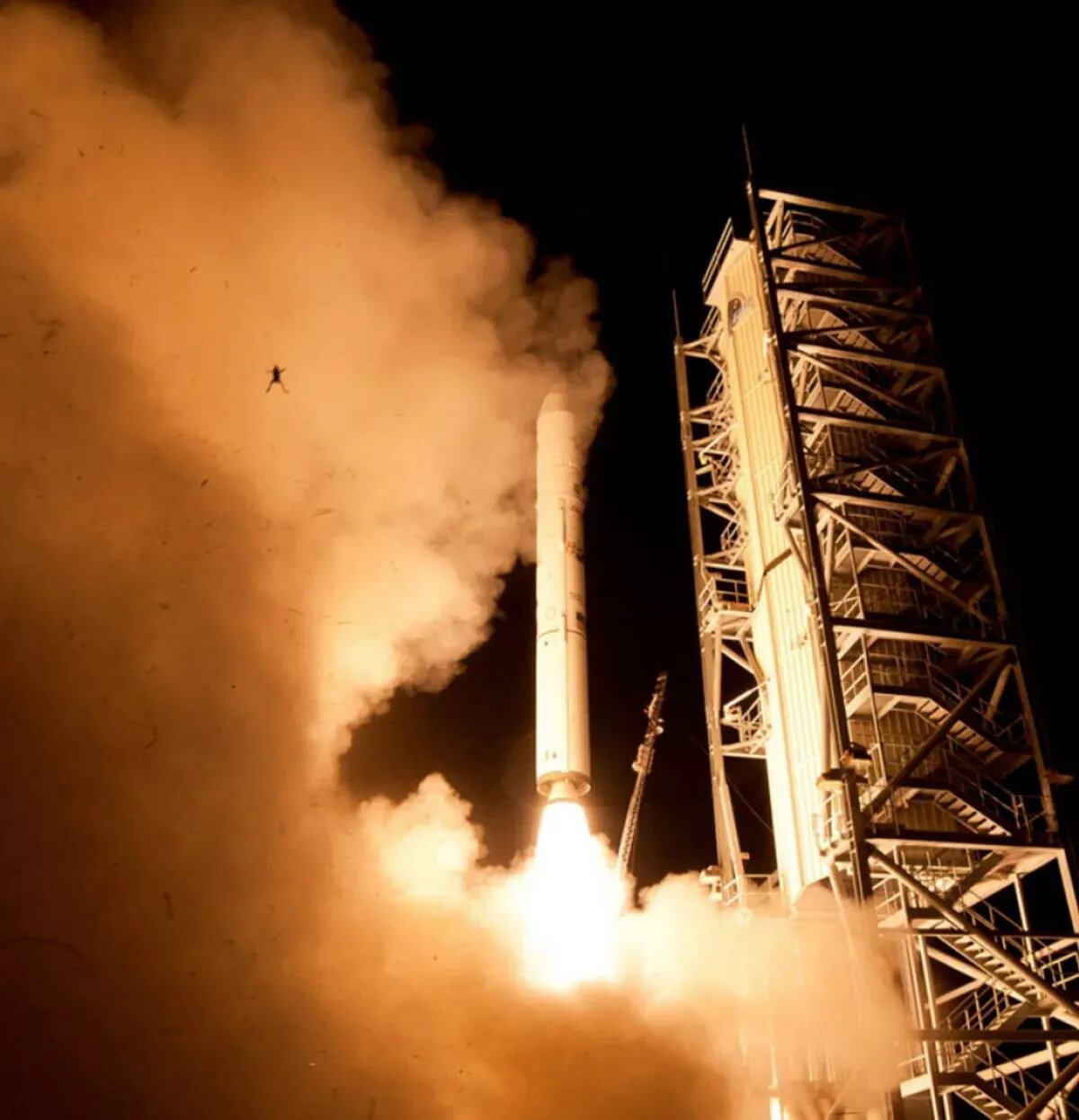 عکس | بدشانسترین قورباغه جهان که همراه موشک پرتاب شد