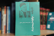 کتابی که وهابیون آن را زیر سوال برده‌اند؛ ماجرای شیعه شدن یک سنی