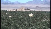 برخورد قاطع دادستانی با تغییر کاربری باغات و قطع درختان خرما در بم