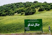 واگذاری نگهداری و توسعه جنگل فندقلو به بخش خصوصی