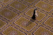 مفروش شدن حرم مطهر امام علی(ع) با فرش فاخر کاشان