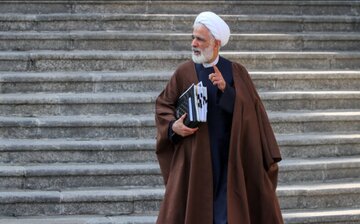 معاون رئیس جمهور: سه قوه در مورد حقوق زنانهیچ تردیدی ندارند / اختلاف نظرها مربوط به تغییراتی بوده که باعث کاهش سطح انتظارات شده بود