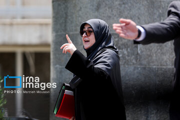 حواشی هیات دولت در روز چهارشنبه + عکس