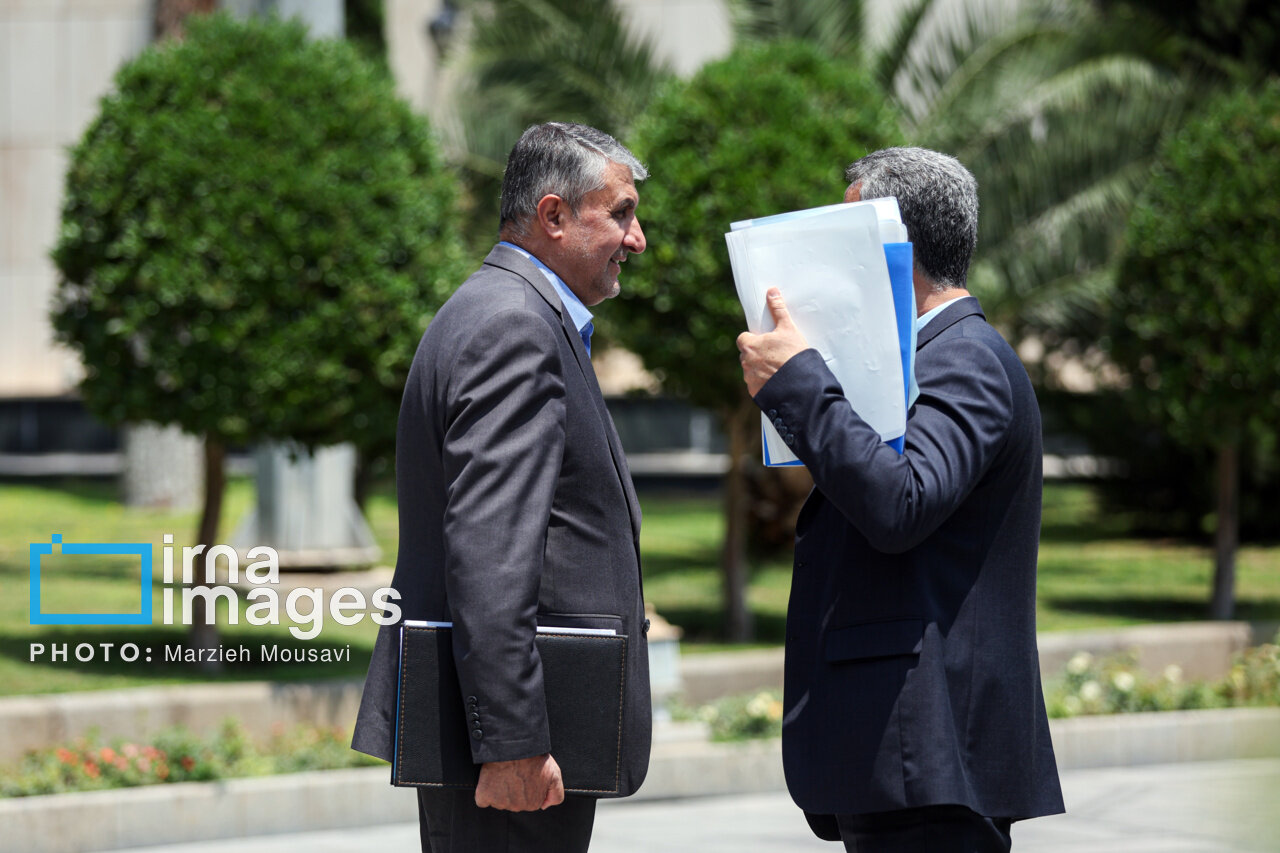 حواشی هیات دولت در روز چهارشنبه+عکس