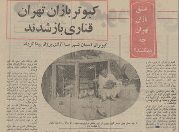 کفتر پرانی در تهران ممنوع و کبوترفروشی‌ها ناچار به تغییر کاربری شدند!