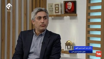 معاون سازمان انرژی اتمی به شهادت رسید / سید امیر حسن فقهی که بود؟