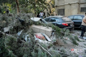 کشته شدن یک شاعر جوان در پی حمله به خاک ایران