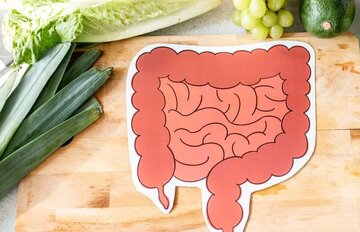 ۵ عادت طلایی برای داشتن رودهای سالم ۵ عادت طلایی برای داشتن رودهای سالم