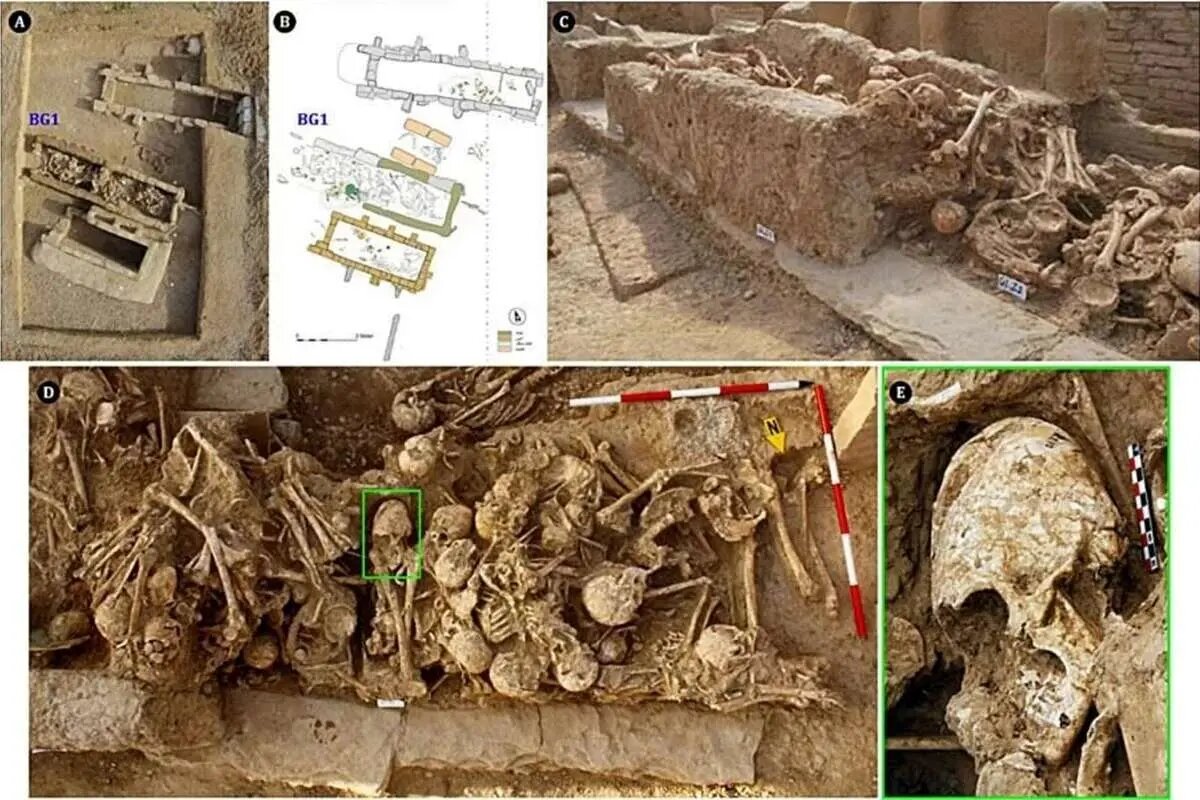 رازهای جمجمه دختری در جنوب ایران که با تغییر شکل و ضربه کشته شد