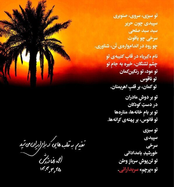 سروده کارگردان سینما برای ایران