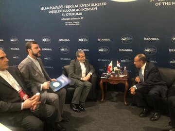 تمجید عراقچی از نقش سازنده مصر در محکومیت جمعی جنایات رژیم صهیونیستی