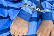 متهمان تیراندازی به محیط بان کرمانی دستگیر شدند