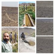 ثبت تولد چهار کره‌گورخر جدید در پارک ملی کویر / شمار زادآوری سال ۱۴۰۴ به هشت رأس رسید