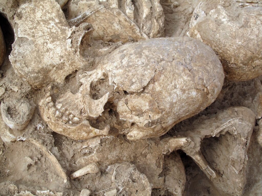 رازهای جمجمه دختری در جنوب ایران که با تغییر شکل و ضربه کشته شد