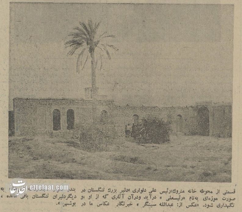 همسر رئیسعلی دلواری: برای وطن میایستیم!