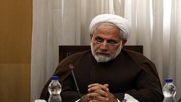 عضو کمیسیون امنیت ملی: جاسوسان باید به اشد مجازات برسند / پذیرش مهاجر، تابع یک نظمی است که در کشور ما مورد توجه قرار نگرفته