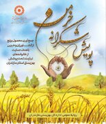 آغاز پویش شکرانه خرمن برای همدلی کشاورزان مازندرانی با مددجویان بهزیستی