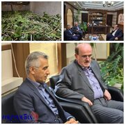 رئیس مرکز توسعه نوغانداری کشور از توزیع ۳۸ هزار و ۸۰۰ جعبه تخم نوغان در سال جاری خبر داد