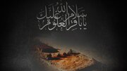 پاسخ به یک خطای رایج؛ اهل بیت تنها از نسل امام حسین(ع) نیستند