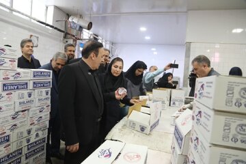 استاندار قزوین از دو واحد تولید موادغذایی در شهرصنعتی البرز بازدید کرد