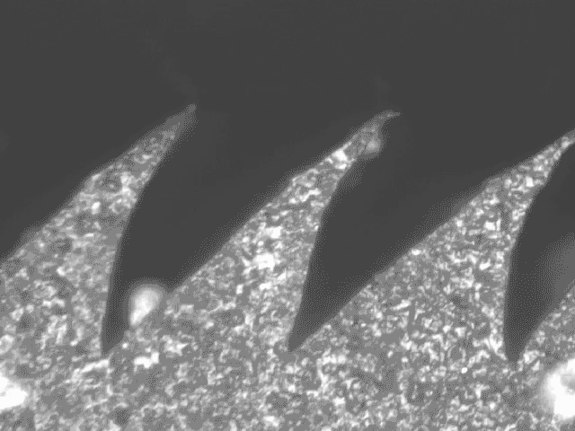 ساخت پهپادهای الهامگرفته از زنبورها در آمریکا ساخت پهپادهای الهامگرفته از زنبورها در آمریکا